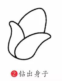 玉米简笔画图片，几株玉米的简笔画怎么画（可爱的玉米简笔画画法图解）