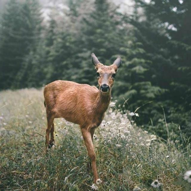 可盐可甜.靓妹头像微信，可盐可甜.靓妹头像（一些可甜可咸适合发朋友圈的小句子）