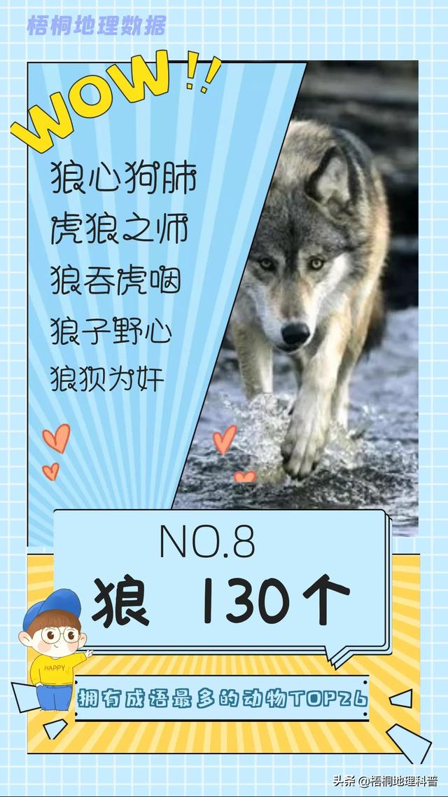 关于猫的词语有多少个，关于猫的词语有多少个词语（盘点哪种动物拥有的成语最多）