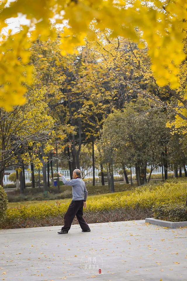 许昌旅游景点有哪些,许昌旅游景点有哪些地方(带你感受专属秋天的浪漫景色) 许昌旅游景点有哪些,许昌旅游景点有哪些地方(带你感受专属秋天的浪漫景色)