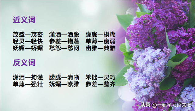 芭蕉不展丁香结，芭蕉不展丁香结的意思是什么（思考作者感悟到了怎样的人生真谛）