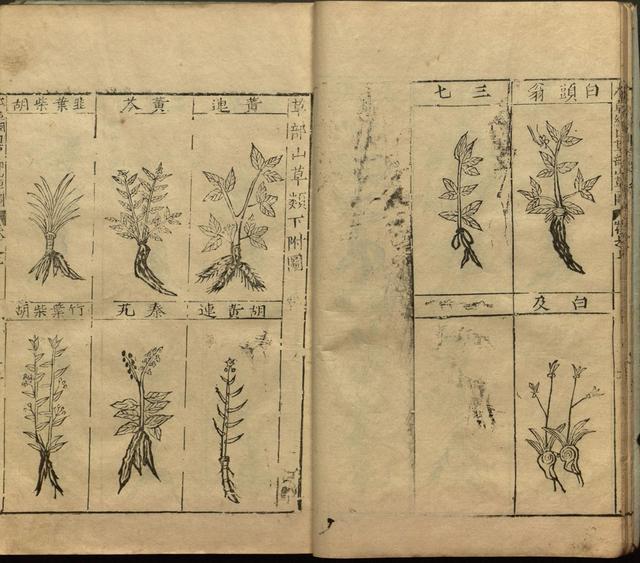本草纲目全书带图，李时珍本草纲目全书（李时珍著《本草纲目》附图卷）