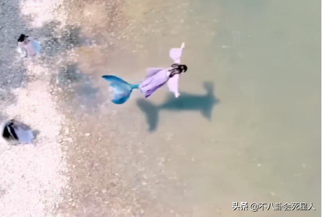 美人鱼演员名单，美人鱼演员表（什么叫媚而不俗的人鱼）