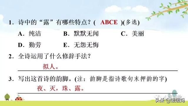 悠扬的近义词，“悠扬”的近义词是什么（四年级下册语文第11课《白桦》图文详解及同步练习）