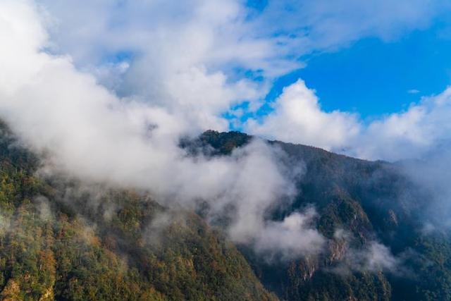 梵净山在哪里呢，梵净山在哪里个省哪个市（北半球最古老的生态乐园）