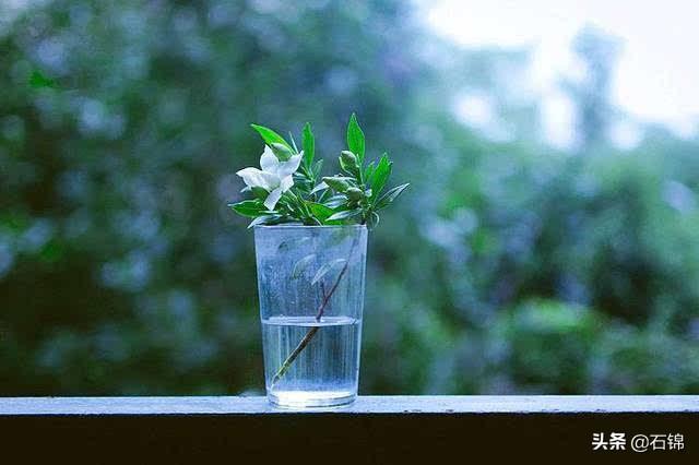 淡然的诗句,一个人安静淡然的诗句(五首淡然唯美诗词:心有美好)