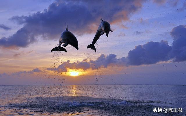 电脑好看的壁纸，10个最佳电脑壁纸（这56张绝美风景）