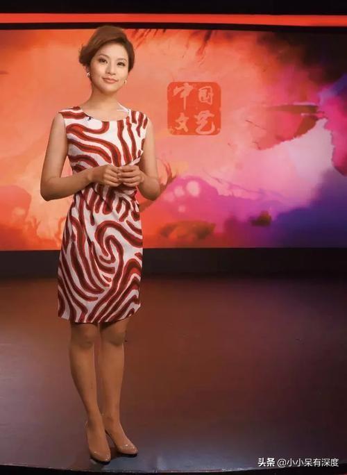 孟盛楠的老公简历，孟盛楠简历（央视五大气质美女主持人）