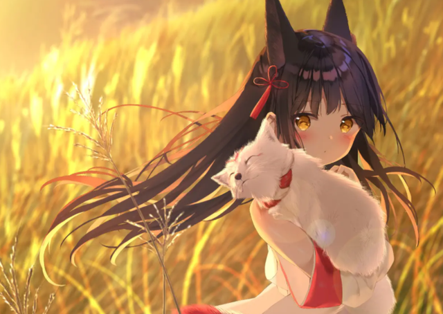 碧蓝航线赤城打捞技巧，碧蓝航线铁血打捞（碧蓝航线再遭重创）