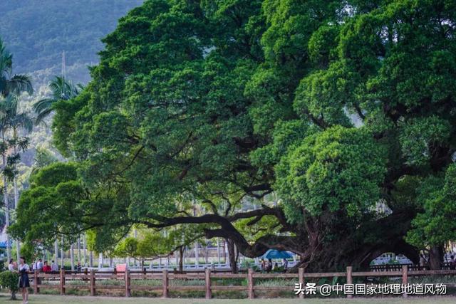 福建的省会是哪里，福建在哪个省（为什么“很不福建”）