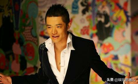 玲花为什么叫杨魏玲花，杨魏玲花以前是做什么的（玲花不得已说出原因）