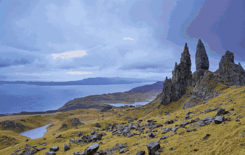 一带一路有哪些国家，一带一路经过了哪些国家和地区（一带一路经过的国家）