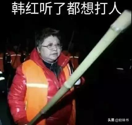 还音是什么意思，唱歌还音是什么意思（和打压新歌手的韩红）