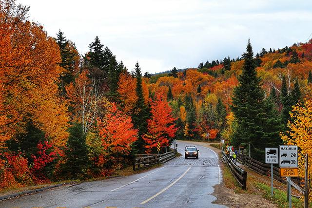 加拿大在哪个洲，埃及属于哪个洲（美国为什么不吞并加拿大做世界第一领土大国呢）