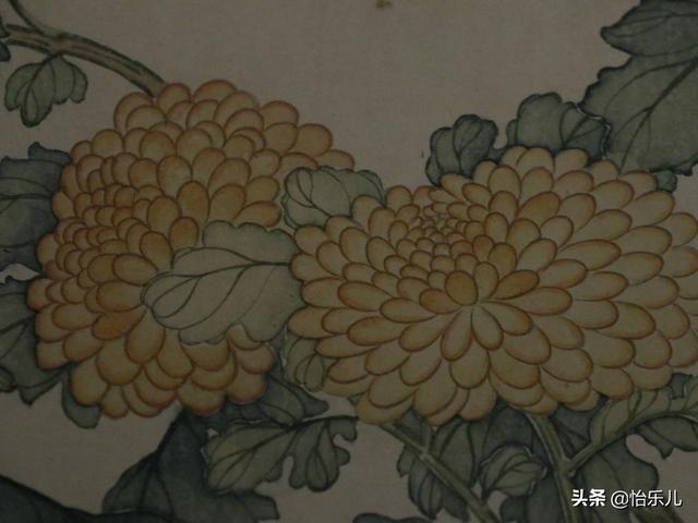 葩的读音（葩怎么读，葩是什么意思（金佛座、搓粉妆、绶带紫、鹤头丹）