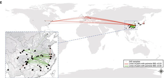 银杏树的资料，银杏树的介绍和特点（看得见摸得着的“活化石”——银杏）