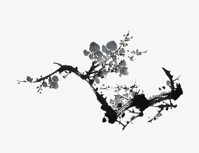 梅花什么颜色，冬天的梅花什么颜色（在古诗词中优雅地绽放）