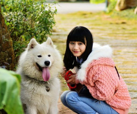 女人爱狗狗的简单介绍,无非是这几个原因(爱狗的女生)