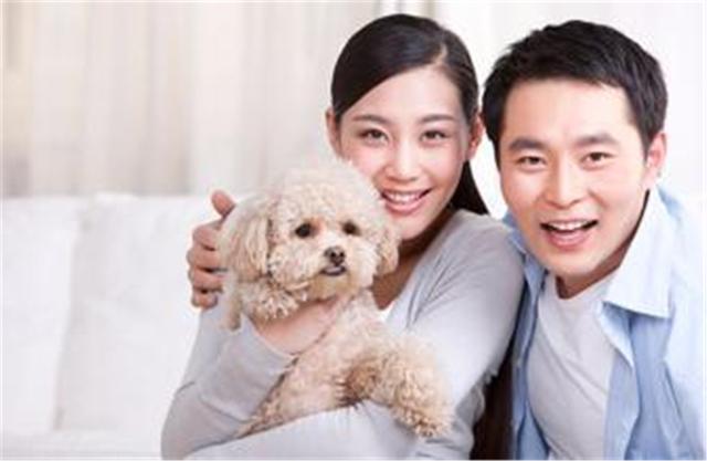 丁克的意思，首批丁克族陆续步入老年（丁克是什意思）