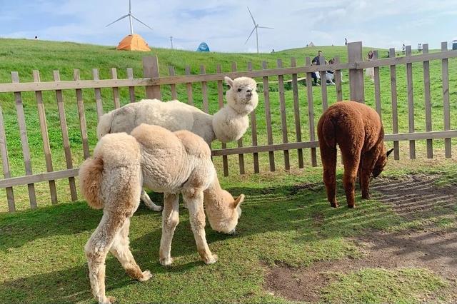 湖南好玩的地方，湖南有哪些好玩的地方（湖南这些好看又好玩的景点）