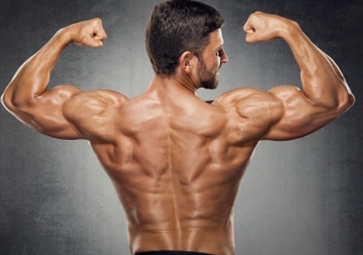 半蹲的步骤，半蹲准备的姿势要领是什么（要按照什么顺序进行）