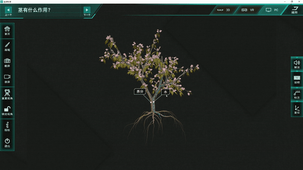 花是植物的什么器官，花是一些植物的什么器官（花是植物的什么器官）