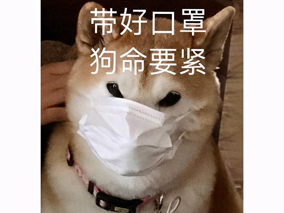 最赚钱的游戏(3d捕鱼游戏)