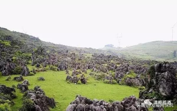 云南普者黑旅游攻略，云南省普者黑风景区旅游攻略（一处鲜为人知的神秘旅游景点——普者黑攻略）