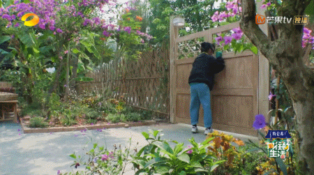 向往的生活开局推到张子枫，张子枫是谁推荐到向往的生活（《向往的生活4》张子枫被疑社恐）