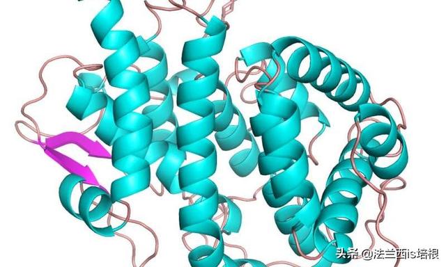 鸭嘴兽是哺乳动物吗，为什么说鸭嘴兽是哺乳动物（不，啥都没有的鸭嘴兽也能喂奶）