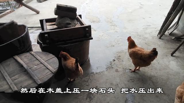 天然石磨豆腐的做法，传统古法用石磨打豆腐的全过程