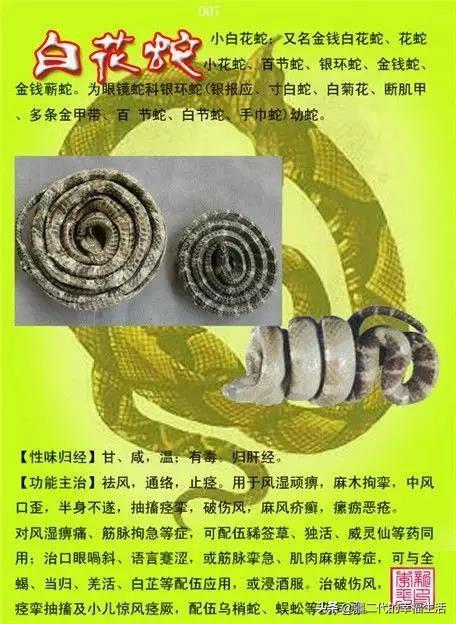 常见中草药图谱，中草药经典图谱（让你知道常用药都长啥样）