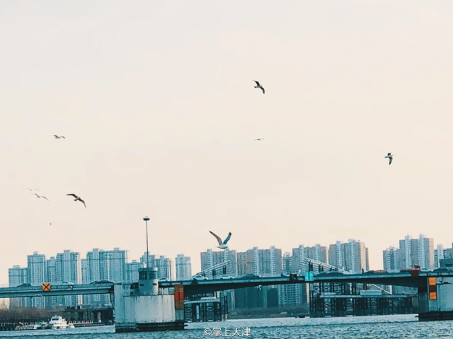 滨海北站在哪，高铁滨海北站在哪（中国最老的火车站滨海新区塘沽南站）