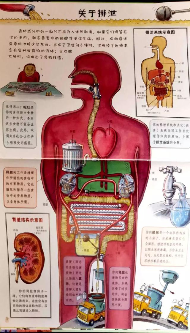 如何画一部简单的电话机，画电话的简单画法图（这套儿童科普读物把骨头画成钢铁侠）