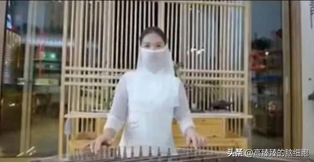 禅洗是什么（商业进化中的机会）