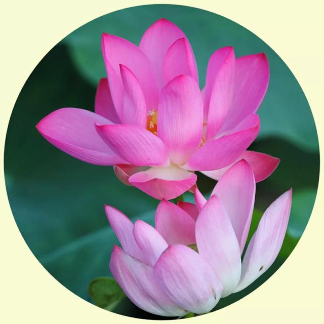 风景照片图片大全，微信头像，风景照片图片大全（令人心旷神怡的美景）