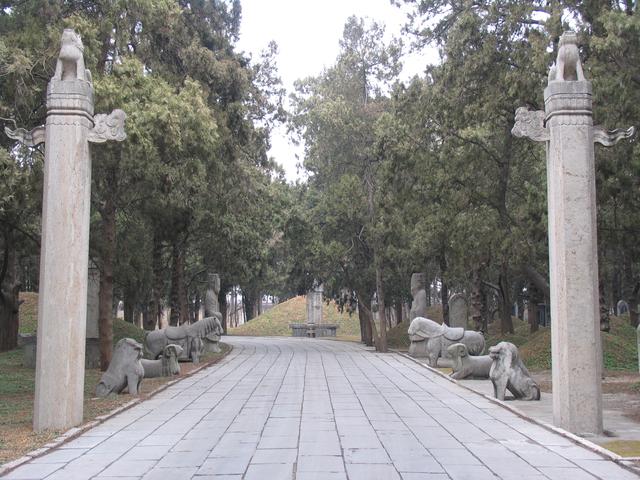 孔府的介绍，孔府的介绍作文（探访曲阜孔庙、孔府和孔林）