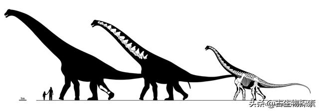 世界上有什么恐龙，世界上有几种恐龙（世界最大恐龙排行榜）