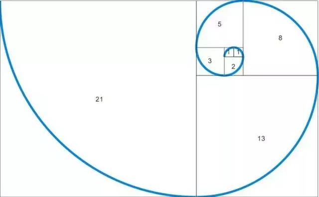 斐波拉契数列，斐波那契数列python（我居然从一只猫身上学到了斐波那契数列）
