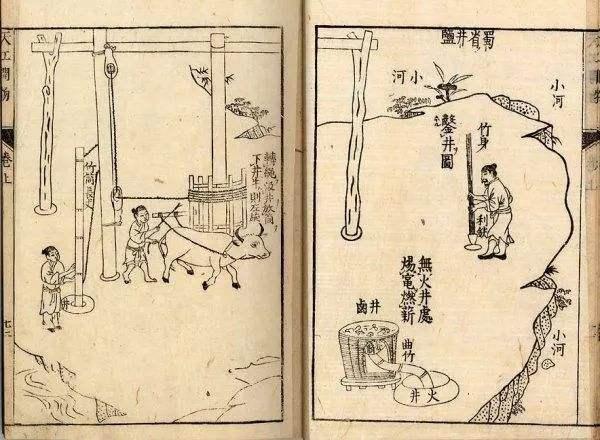 盐是怎么来的，年是怎么来的（我们每天生活的必需品食盐）