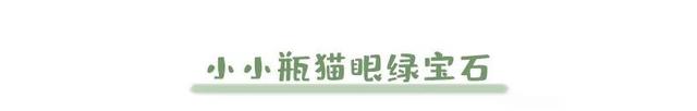 二次元动漫女头/可爱/小鸟游六花什么的也太卡哇伊了吧，微信头像，二次元动漫女头/可爱/小鸟游六花什么的也太卡哇伊了吧（奈雪新品清新来袭）