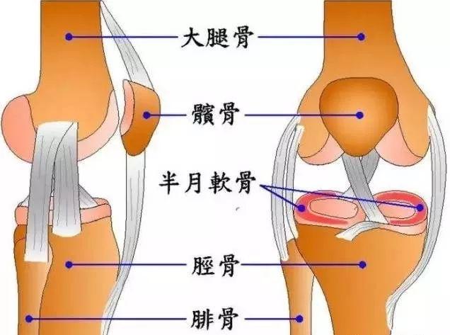 爬楼梯膝盖疼是什么原因,爬楼梯膝盖疼是什么原因走平路没事(膝盖不