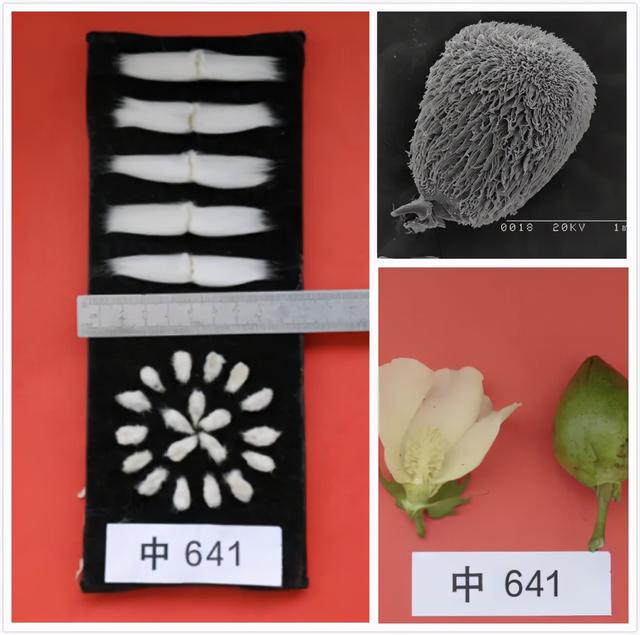 拾柒印制一本书多少钱，拾柒印制一本书多少钱一页（中国百年老厂九年磨一剑）