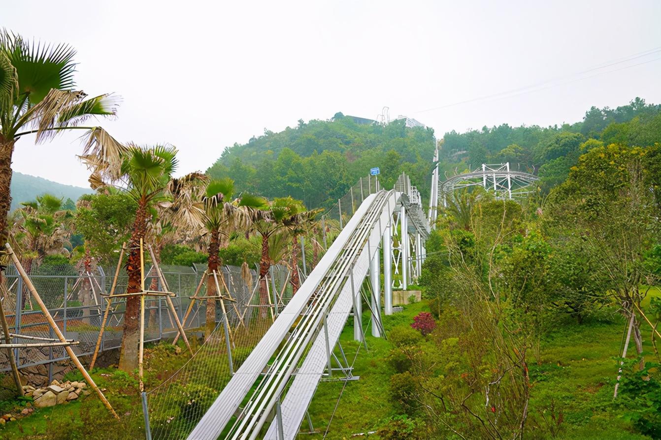 雁荡山旅游攻略推荐（请收好这篇，省心又省钱游玩攻略）