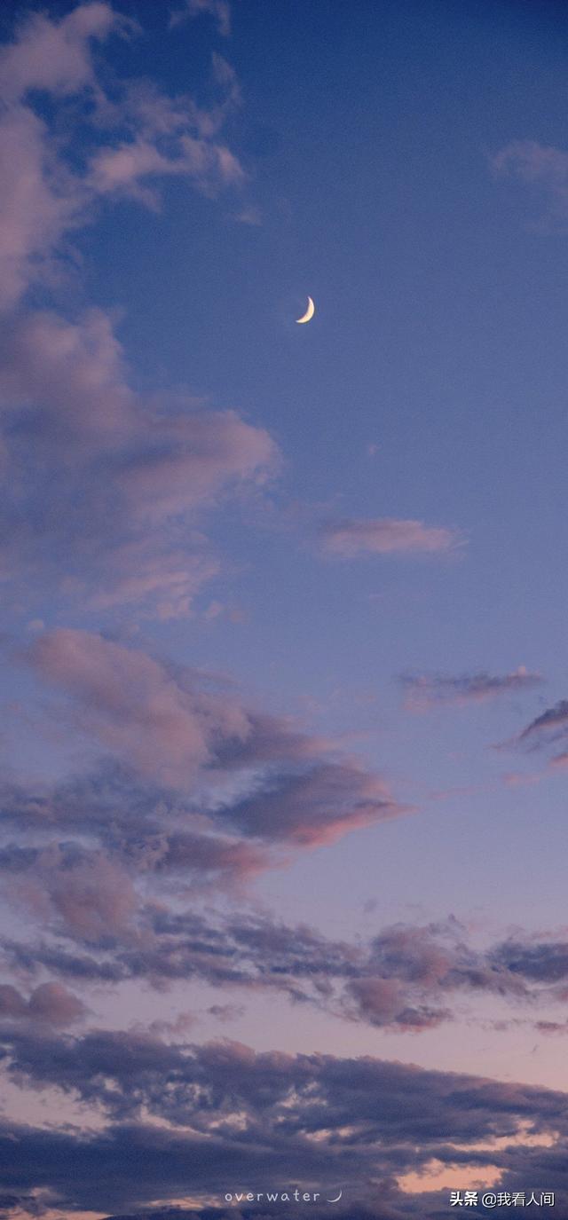 道枝骏佑壁纸❤❤，道枝骏佑图片高清头像（学生党壁纸！超好看）