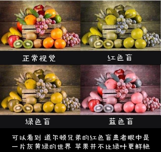 悖论是什么意思，祖父悖论是什么意思（如何解释才能不留BUG）