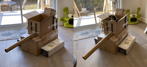 如何用最简单的材料给猫咪做玩具，如何用最简单的材料给猫咪做玩具熊（网友给家里的猫打造纸箱坦克）