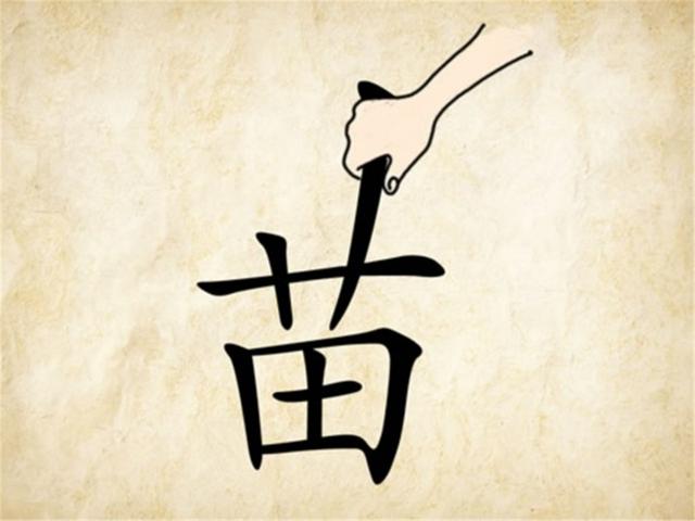 本末倒置意思是什么意思，看到图片相信绝大多数人是懵的状态