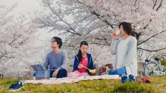 picnic是什么意思，picnic意思（最野的野餐，只在朋友圈里）