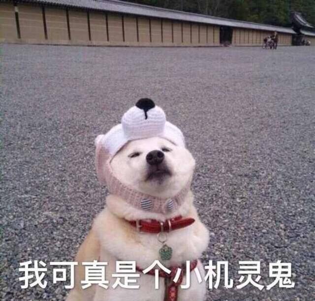 群昵称是什么，群昵称是什么好（快来看看这些有意思的群名称）